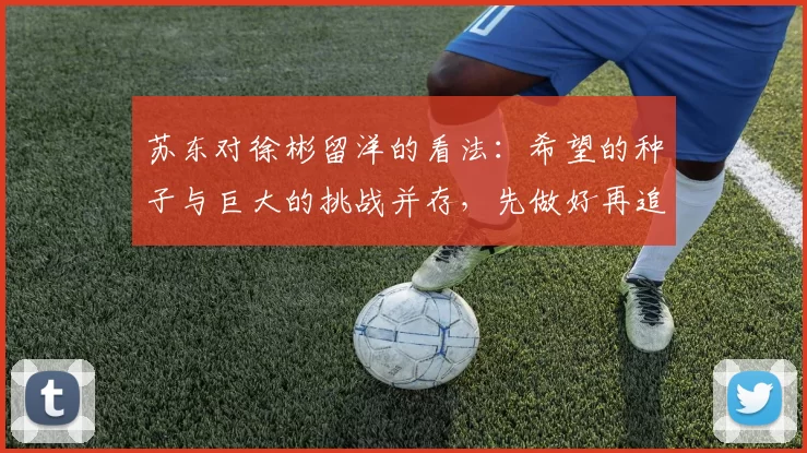 苏东对徐彬留洋的看法：希望的种子与巨大的挑战并存，先做好再追求完美